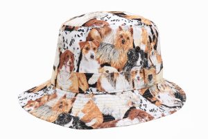 Cats and Dogs Traditional Bucket Hat