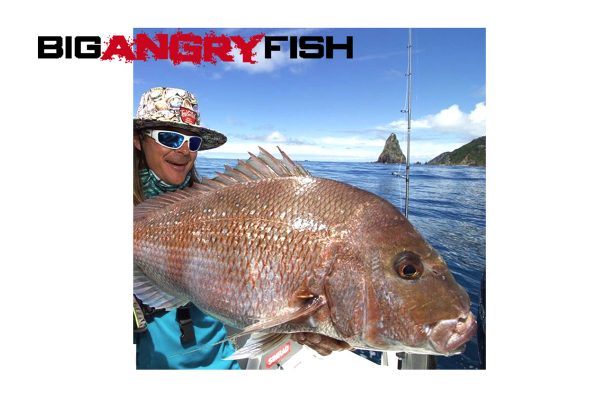 The Ace - Big Angry Fish - Image 5